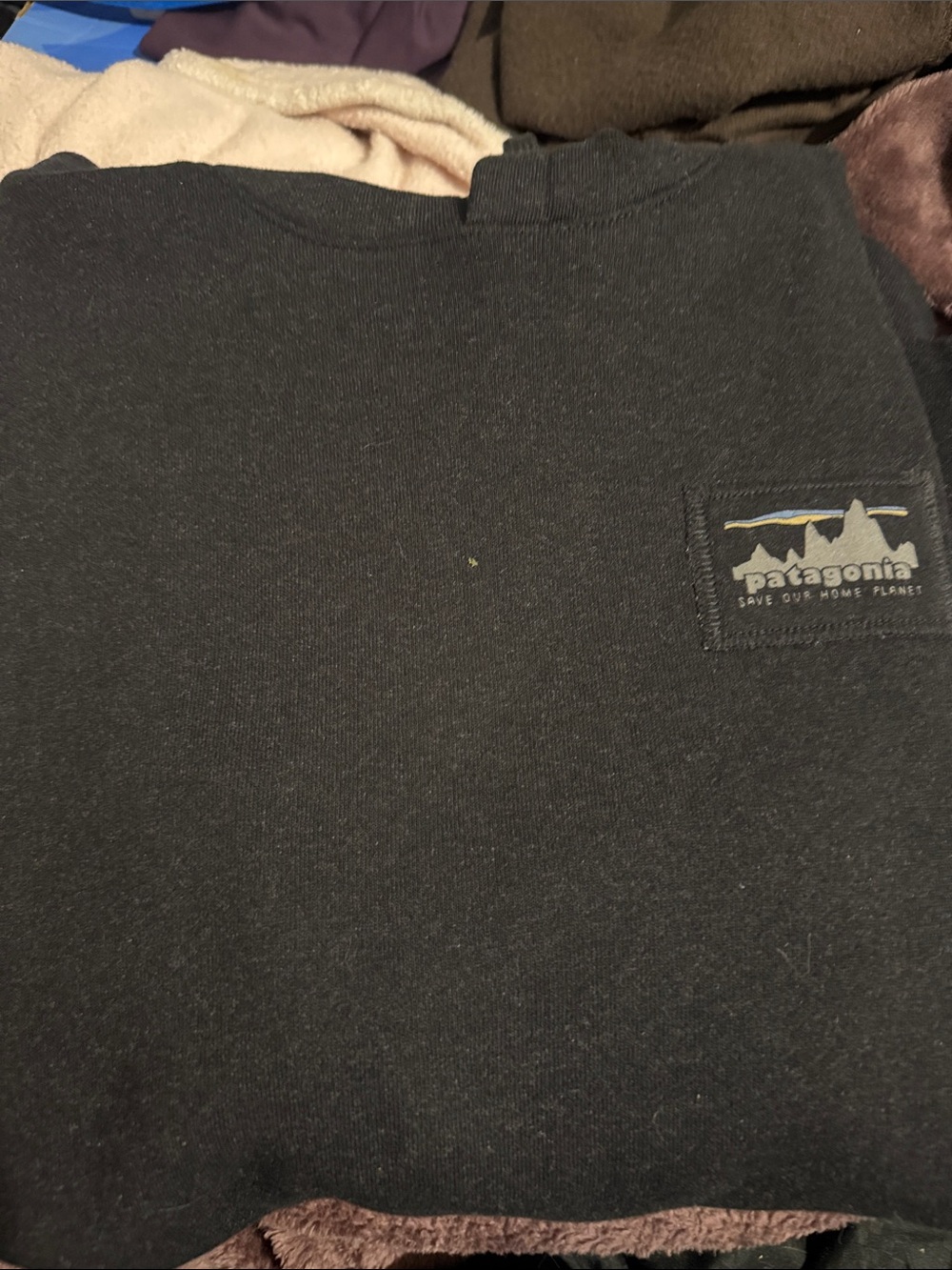 Patagonia Black Sweatshirt with Multi-Color Logo